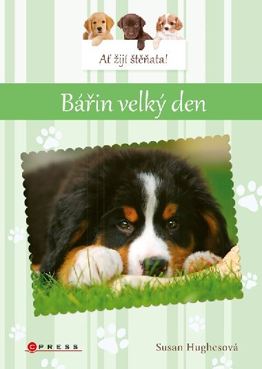 A ij tata: Bin velk den - Susan Hughesov