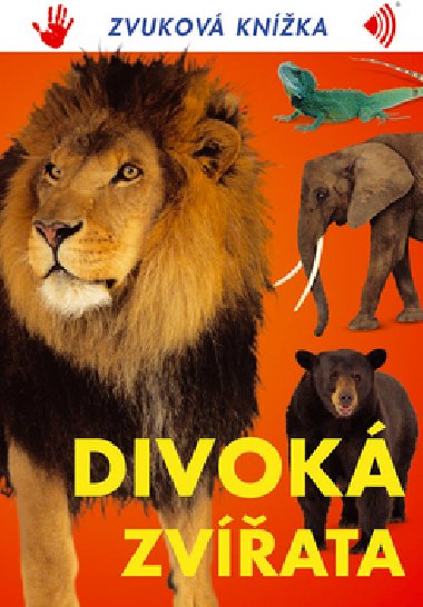 Divok zvata - 