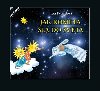 Jak kometa la do svta - Jitka Petrelov