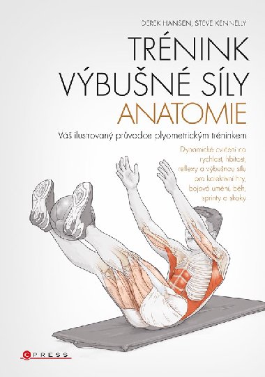 Trnink vbun sly - anatomie - 