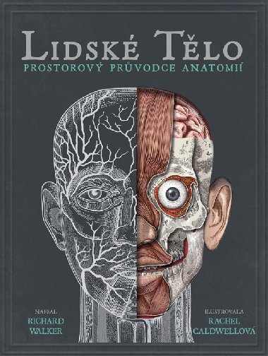 Lidsk tlo - prostorov encyklopedie - Richard Walker