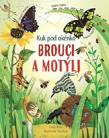 Brouci a motli - kuk pod oknko - Emily Bone; Nat Hues