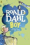 Boy : Tales of Childhood - Dahl Roald