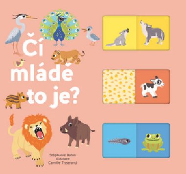  mld to je? - Stphanie Babin