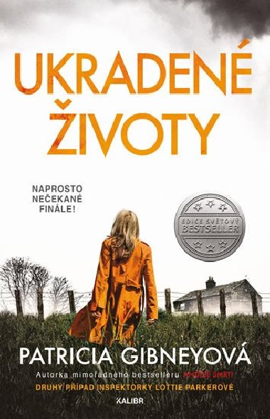 Ukradené životy - Patricia Gibneyová