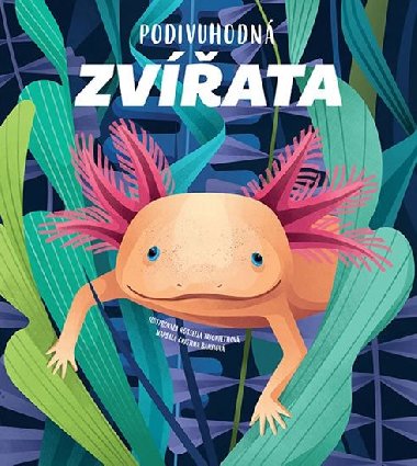 Podivuhodn zvata - Cristina M. Banfiov; Rossella Trionfettiov