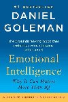 Emotional Intelligence - Goleman Daniel