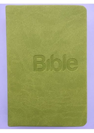 Bible, peklad 21. stolet (Green) - Alexandr Flek