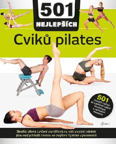 501 NEJLEPŠÍCH cviků pilates - Audra Avizienisová