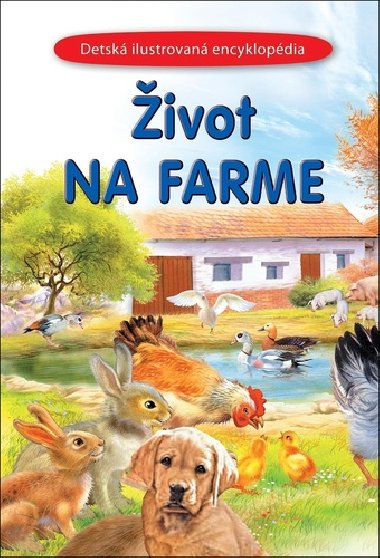 ivot na statku - 