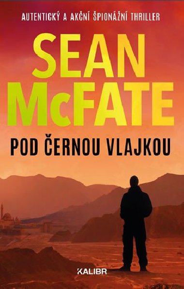 Pod ernou vlajkou - McFate Sean