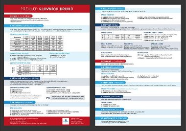 Pehled slovnch druh s gramatickmi pravidly - Pehledov tabulka uiva - Martin Stank