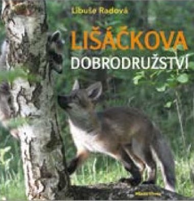 Likova dobrodrustv - Libue Radov