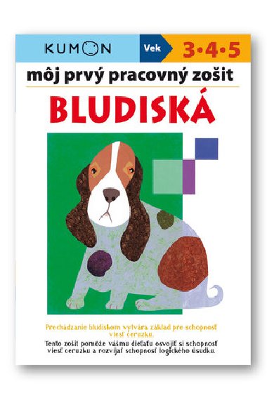 Mj prv pracovn zoit Bludisk - Giovanni K. Moto; Toshihiko Karakida; Yoshiko Murakami