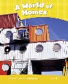 Level 6: A World of Homes CLIL - Taylor Nicole