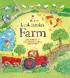 Look Inside Farm - Daynes Katie