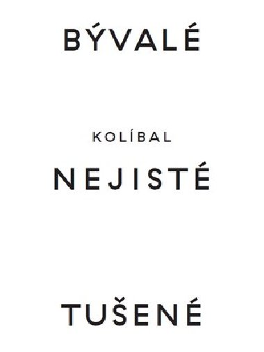 Bývalé nejisté tušené - Stanislav Kolíbal,Dieter Bogner,Adam Budak