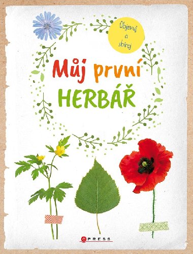 Mj prvn herb - Anna Linstadtov