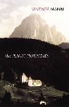 The Magic Mountain - Mann Thomas