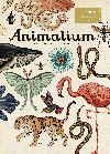 Animalium - Katie Scottov, Jenny Broomov