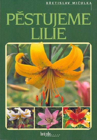 Pstujeme lilie - Betislav Miulka