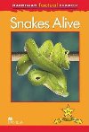 Macmillan Factual Readers 1+ Snake Alive - Carroll Louise