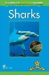 Macmillan Factual Readers 4+ Sharks - Ganeri Anita
