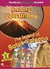 Macmillan Childrens Readers Level 5 Amazing Volcanoes / The Legend Of Batok Volcano - Palin Cheryl