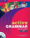 Active Grammar 1 without Answers and CD-ROM - Davis Fiona