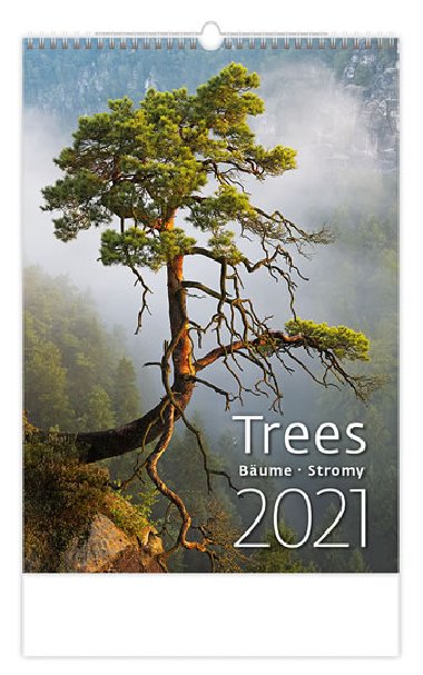 Kalend 2021 nstnn: Trees/Baume/Stromy, 315x450 - Helma