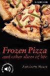 Frozen Pizza and Other Slices of Life Level 6 - Moses Antoinette