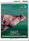Fast: The Need for Speed High Beginning (Book with Online Access) - Kocienda Genevieve