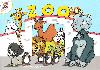 Omalovnky ZOO - Mirek Vostr