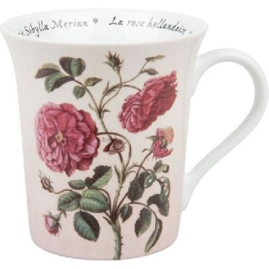 Hrnek - Merian - neuveden