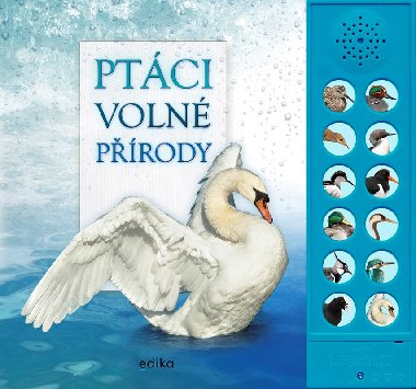 Ptáci volné přírody - zvuková knížka - Andrea Pinningtonová, Caz Buckingham