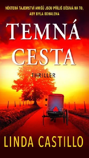 Temn cesta - Linda Castillo