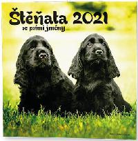 Nstnn kalend - Poznmkov - tata 2021 - Balouek