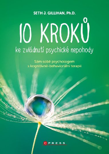 10 kroků ke zvládnutí psychické nepohody - Gillihan, PhD. Seth J.