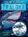 Postav si RALOKA - Nakladatelstv SUN