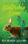 Watersnip Down - Richard Adams