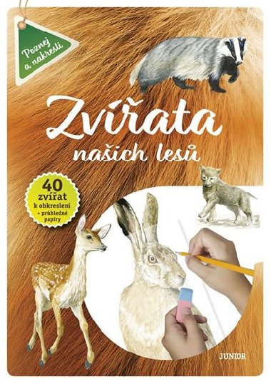 Zvata naich les - Vdomosti i zbava v jednom - neuveden
