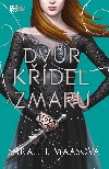 Dvr kdel a zmaru - Sarah J. Maasov