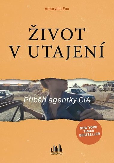 ivot v utajen - Pbh agentky CIA - Amaryllis Fox