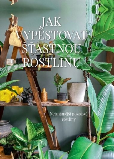 Jak vypěstovat šťastnou rostlinu - Nejznámější pokojové rostliny - Malgorzata Augustynová