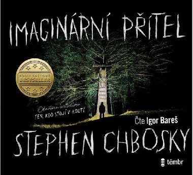 Imaginární přítel - audiokniha CD MP3 - Stephen Chbosky