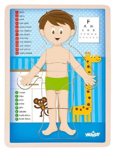Woody Puzzle Lidsk tlo - Kluk, v eskm jazyce - neuveden