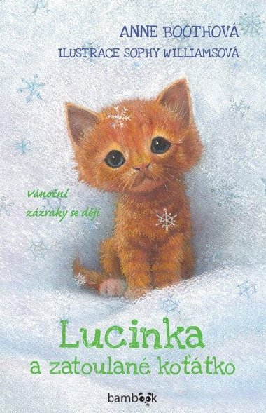 Lucinka a zatoulan kotko - Anne Boothov