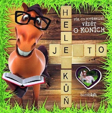 Hele, je to kůň - kolektiv autorů