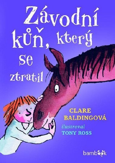 Zvodn k, kter se ztratil - Clare Baldingov; Tony Ross