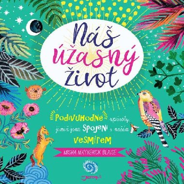 N asn ivot - Misha Maynerick Blaise